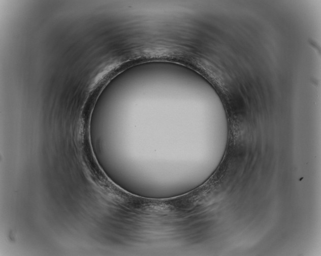 X0000097810583200803141121