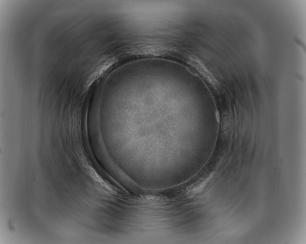 X0000097810585200803141121