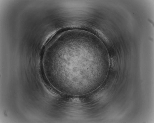 X0000097810588200803141120