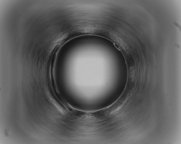 X0000097810589200803141120