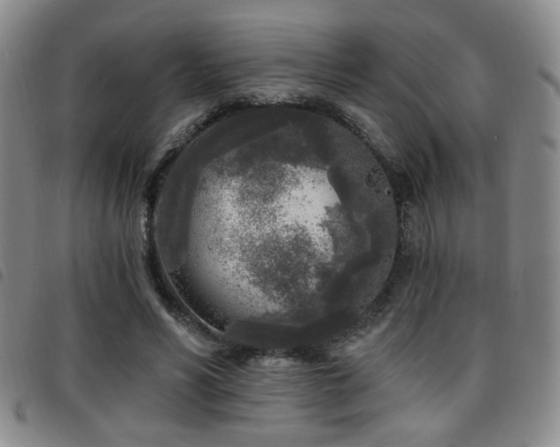 X0000097810590200803141120