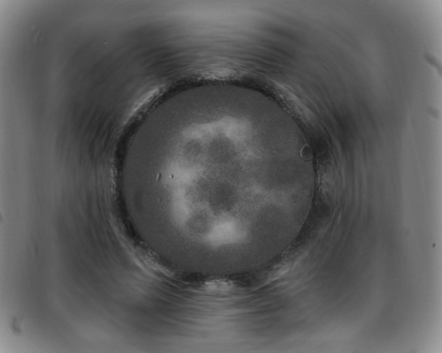 X0000097810591200803141120