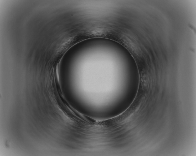 X0000097810593200803141120