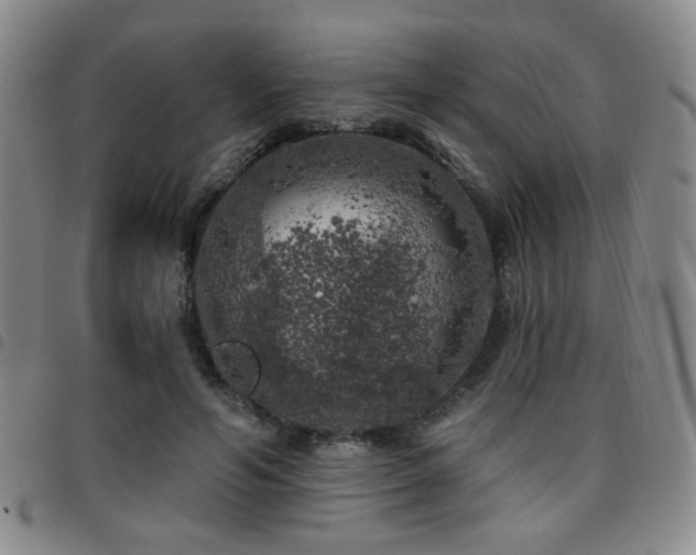 X0000097810594200803141120