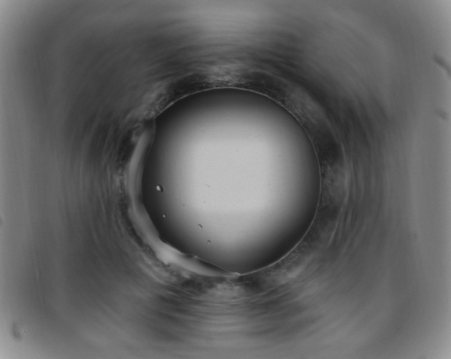 X0000097810601200803141120