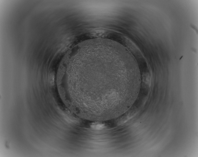 X0000097810602200803141120
