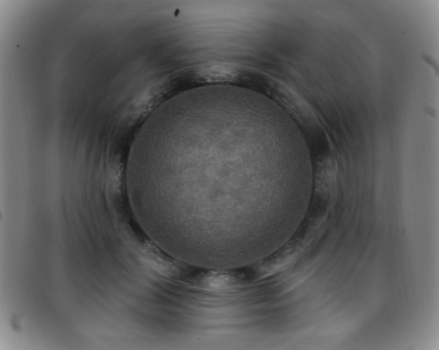 X0000097810604200803141120