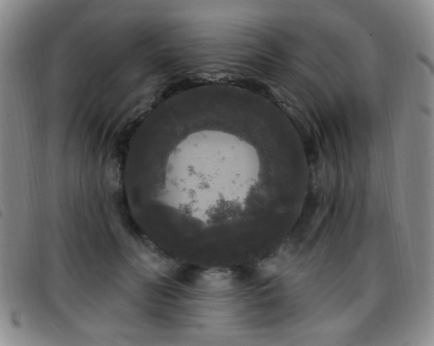 X0000097810606200803141120
