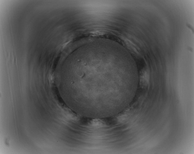 X0000097810608200803141120