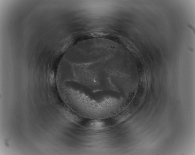 X0000097810610200803141120