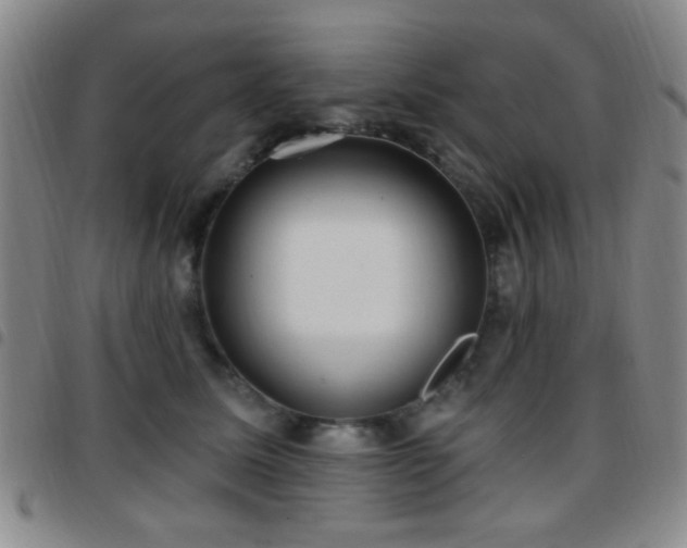 X0000097810611200803141120