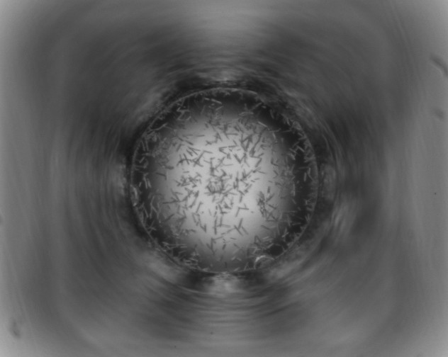 X0000097810612200803141120