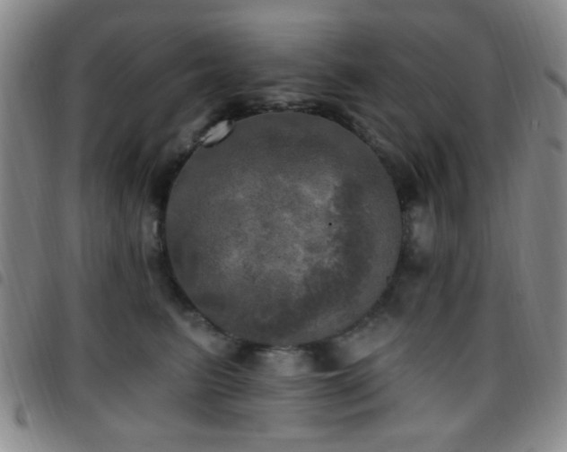 X0000097810615200803141120