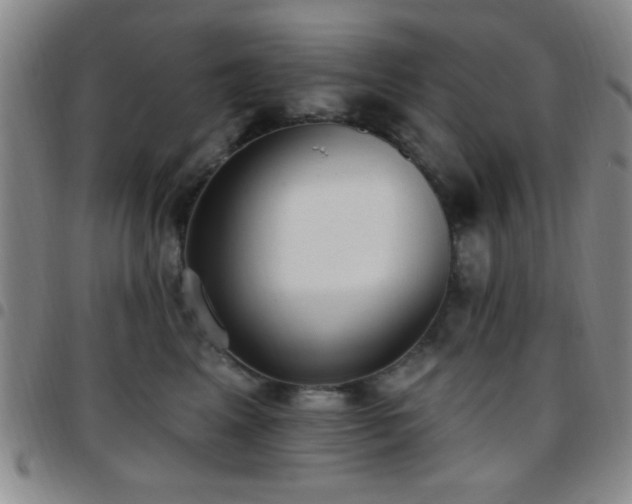 X0000097810617200803141120