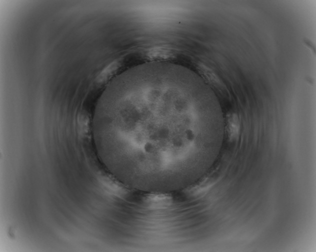 X0000097810619200803141120