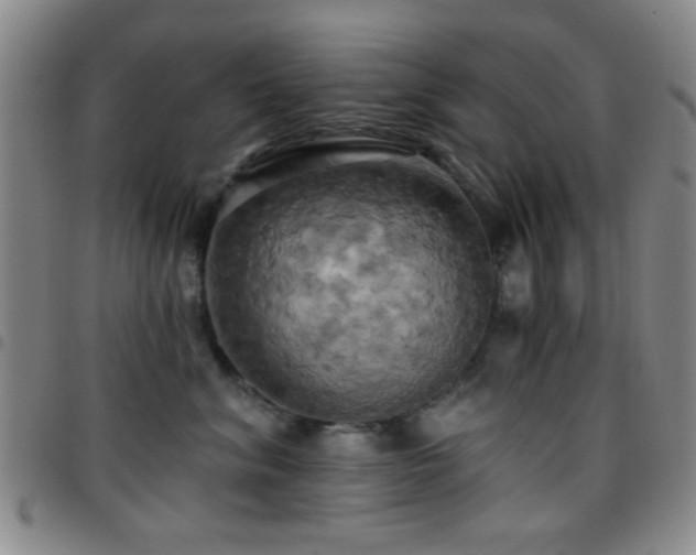 X0000097810620200803141120