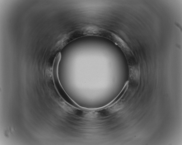 X0000097810621200803141120