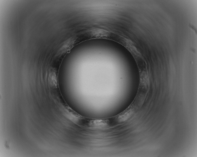 X0000097810622200803141120