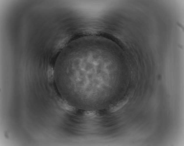 X0000097810624200803141120