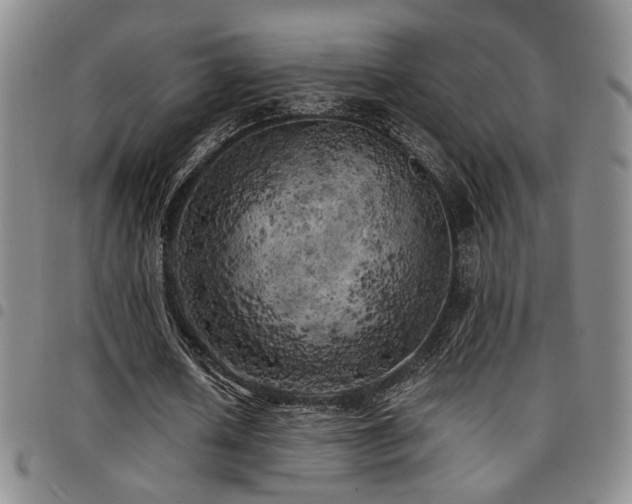 X0000097810626200803141119