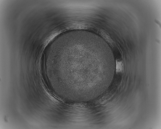 X0000097810627200803141119