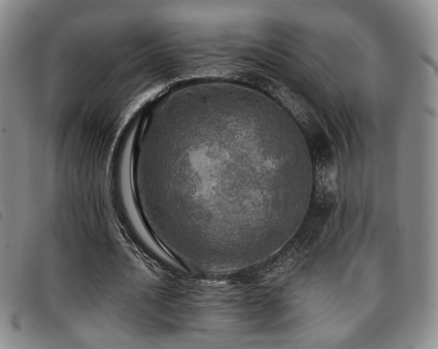 X0000097810628200803141119