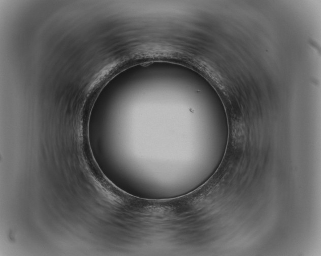 X0000097810629200803141119