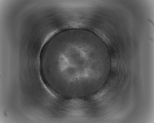 X0000097810630200803141119