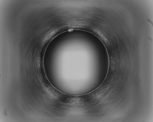 X0000097810631200803141119