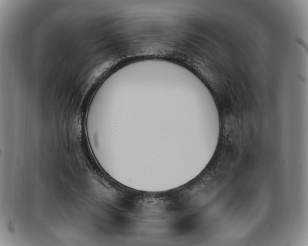 X0000097810632200803141119
