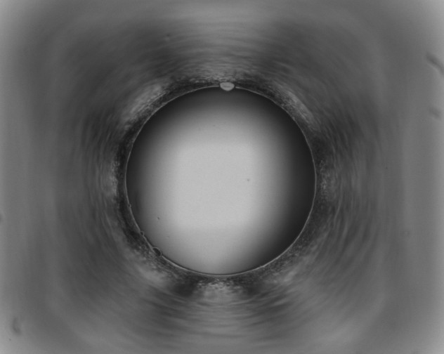 X0000097810635200803141119