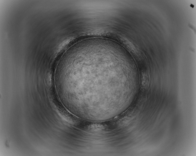 X0000097810636200803141119