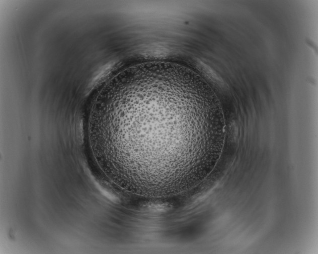 X0000097810638200803141120
