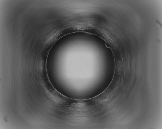 X0000097810639200803141120