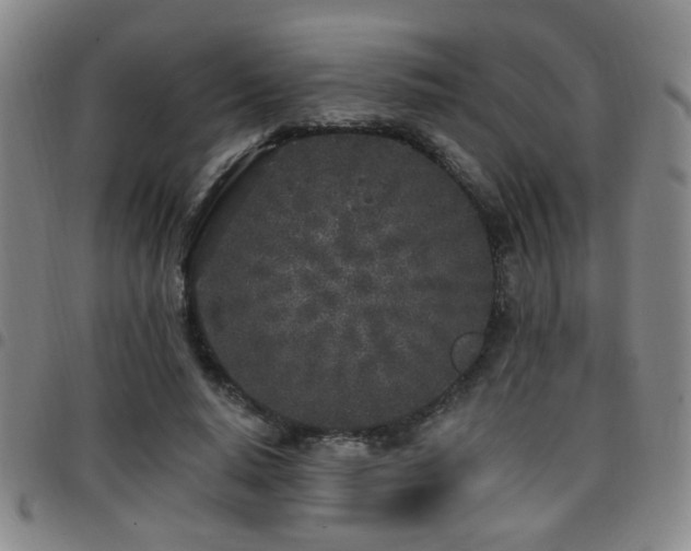 X0000097810640200803141120