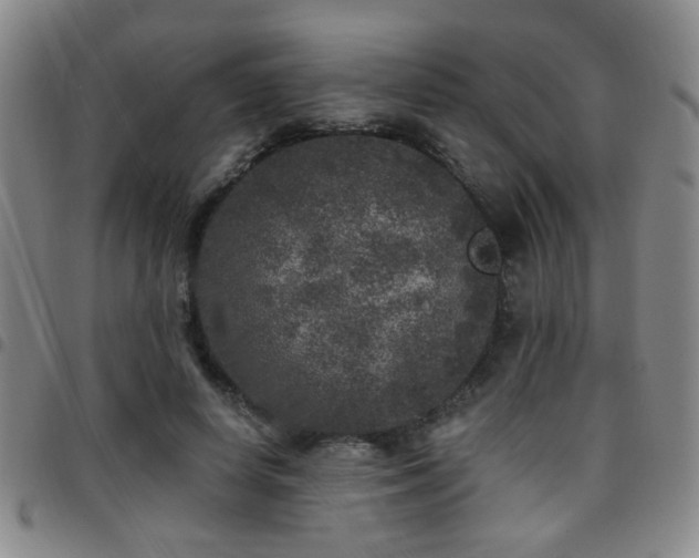 X0000097810642200803141120