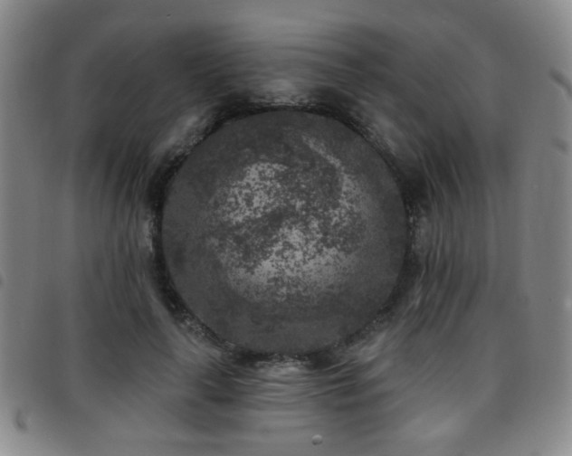 X0000097810643200803141120
