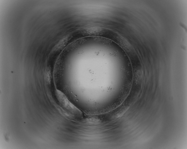X0000097810644200803141120