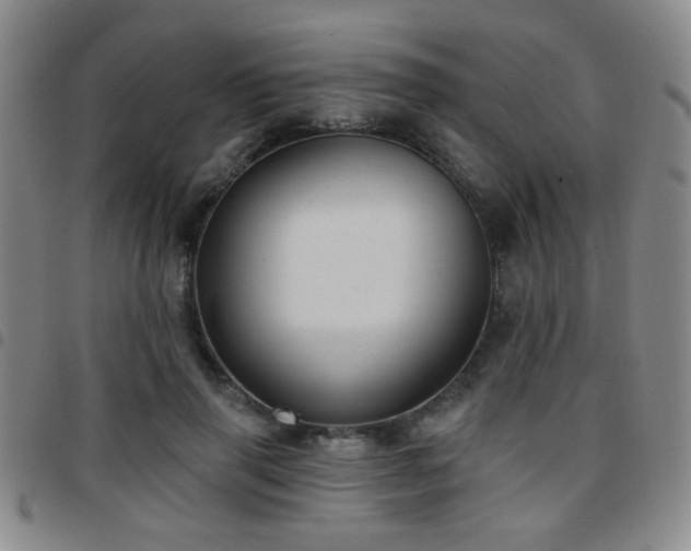 X0000097810645200803141120