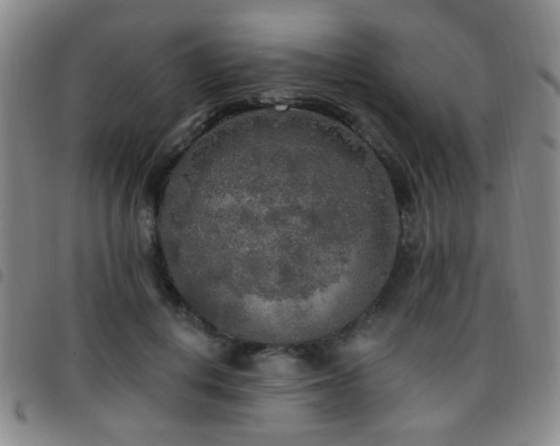 X0000097810648200803141120