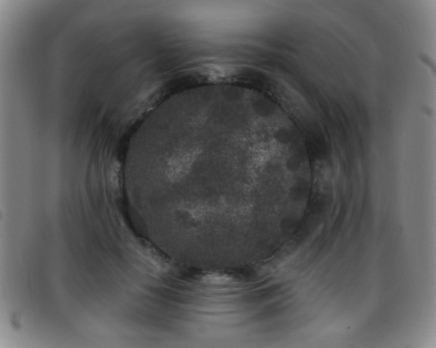 X0000097810650200803141120