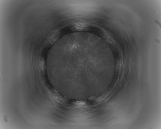 X0000097810651200803141120