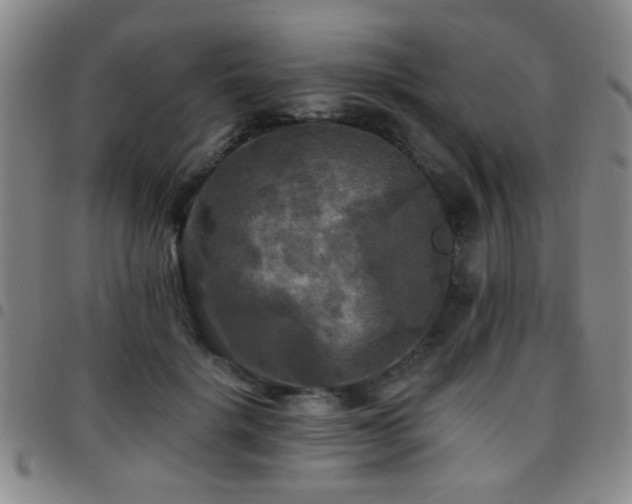 X0000097810652200803141120