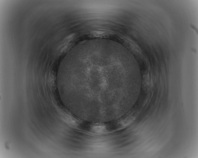 X0000097810653200803141120