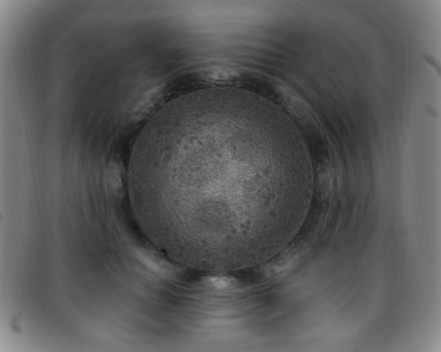 X0000097810654200803141120