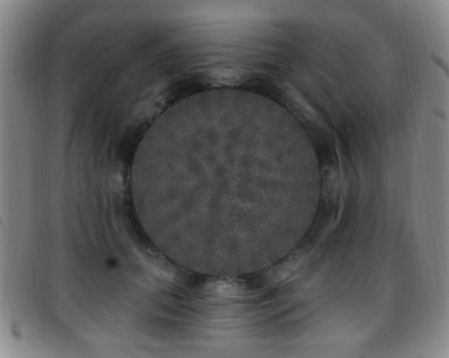 X0000097810655200803141120