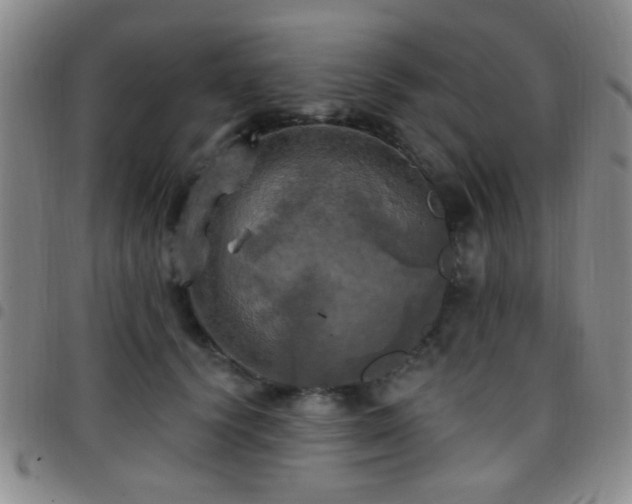 X0000097810656200803141120