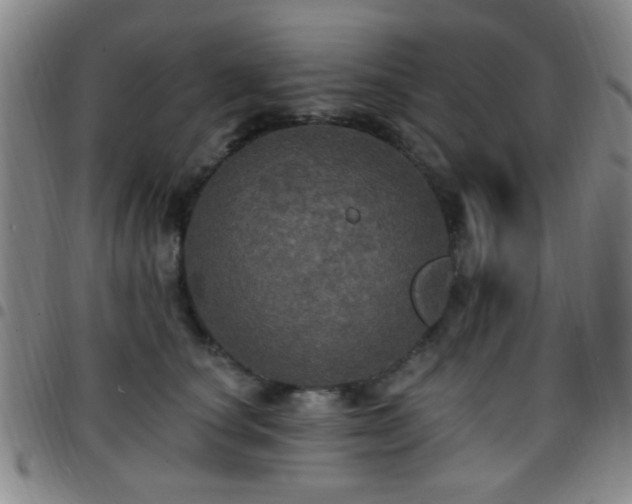 X0000097810660200803141120
