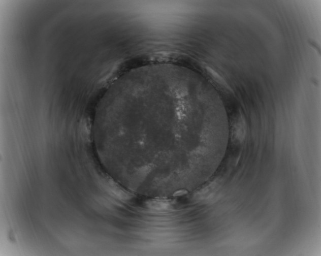 X0000097810661200803141120