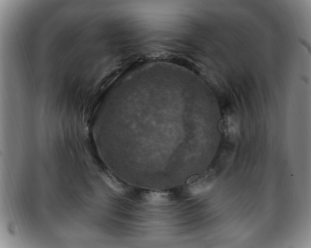 X0000097810664200803141120